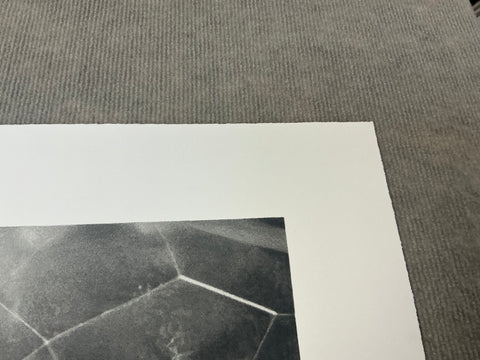 VIJA CELMINS Spider Web, 2009 - Signed