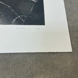 VIJA CELMINS Spider Web, 2009 - Signed