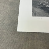 VIJA CELMINS Spider Web, 2009 - Signed
