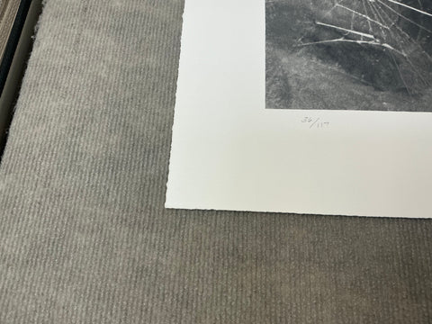 VIJA CELMINS Spider Web, 2009 - Signed