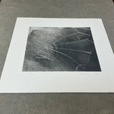 VIJA CELMINS Spider Web, 2009 - Signed