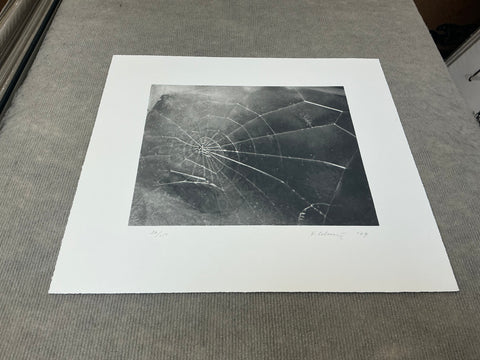 VIJA CELMINS Spider Web, 2009 - Signed
