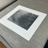 VIJA CELMINS Spider Web, 2009 - Signed