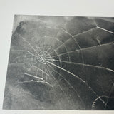 VIJA CELMINS Spider Web, 2009 - Signed