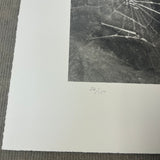 VIJA CELMINS Spider Web, 2009 - Signed
