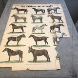 EMILE DEYROLLE Les Animaux De La Ferme - Les Chevaux, 1945