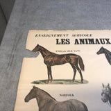 EMILE DEYROLLE Les Animaux De La Ferme - Les Chevaux, 1945