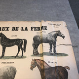 EMILE DEYROLLE Les Animaux De La Ferme - Les Chevaux, 1945