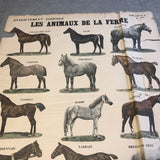 EMILE DEYROLLE Les Animaux De La Ferme - Les Chevaux, 1945