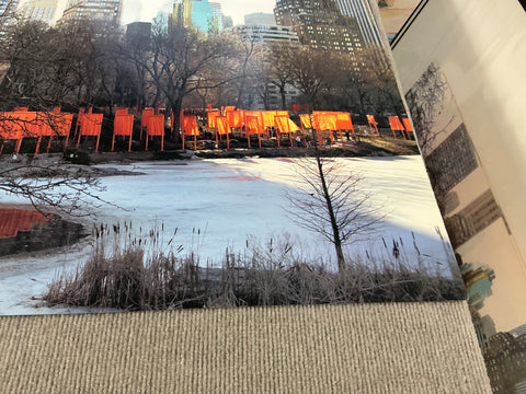 JAVACHEFF CHRISTO The Gates Project, Photo #27, 2005