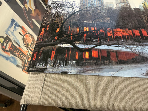 JAVACHEFF CHRISTO The Gates Project, Photo #27, 2005