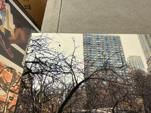 JAVACHEFF CHRISTO The Gates Project, Photo #27, 2005