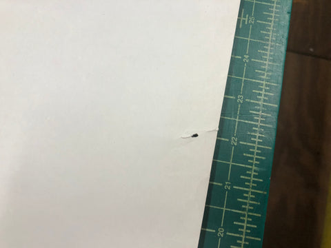 MARC CHAGALL Opera Bleu, 2004