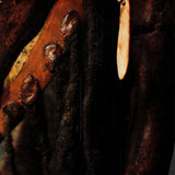 ARTIST UNKNOWN Bildwelten Afrika, Ozeanien und die Moderne, 2009