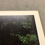 JOHN SALT Pioneer Pontiac, 1977 - Signed
