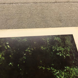 JOHN SALT Pioneer Pontiac, 1977 - Signed