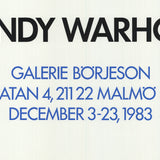 ANDY WARHOL Ingrid with Hat, 1983