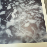 GERHARD RICHTER Lovers in the Forest, 1995