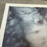 GERHARD RICHTER Lovers in the Forest, 1995