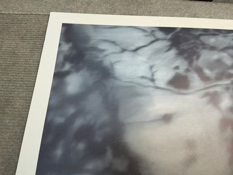 GERHARD RICHTER Lovers in the Forest, 1995