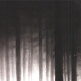 ROBERT LONGO Surrendering the Absolutes, 2009