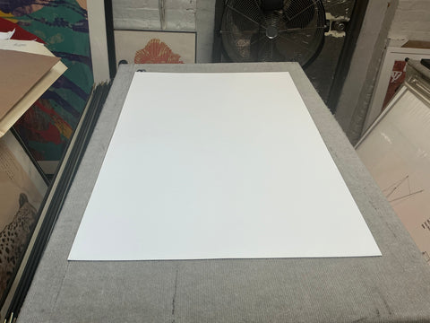 ALFRED WERTHEIMER Russwood Stadium Concert, July 4 1956, 1995