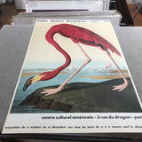 JOHN JAMES AUDUBON American Flamingo, 1960