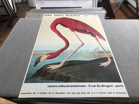 JOHN JAMES AUDUBON American Flamingo, 1960