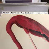 JOHN JAMES AUDUBON American Flamingo, 1960