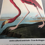 JOHN JAMES AUDUBON American Flamingo, 1960