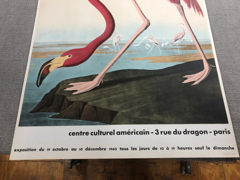JOHN JAMES AUDUBON American Flamingo, 1960