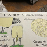 EMILE DEYROLLE Le Bovins (Production), 1960