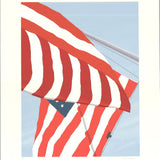 GRETCHEN DOW SIMPSON Flags, 1991 - Signed