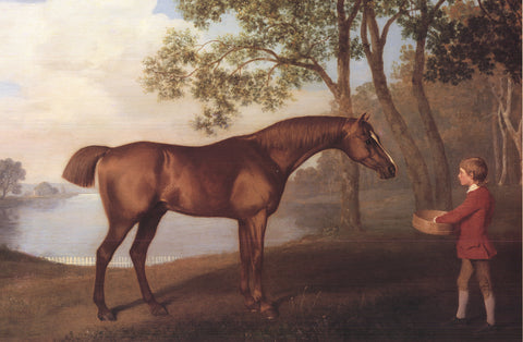 GEORGE STUBBS Pumpkin with a Stable-Lad, 1999