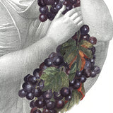 PIERO FORNASETTI Portrait with Grapes, 1995