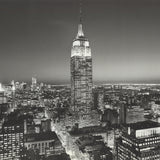 HENRI SILBERMAN Empire State Building at Night, 1996