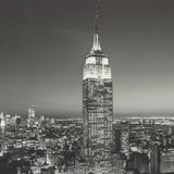 HENRI SILBERMAN Empire State Building at Night, 1996