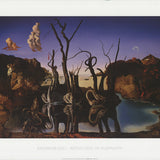 SALVADOR DALI Reflection of Elephants, 2001