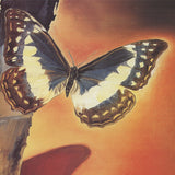 SALVADOR DALI Butterfly Landscape, 1995
