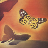 SALVADOR DALI Butterfly Landscape, 1995