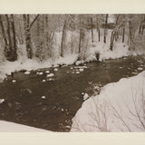 EVELYN H. LAUDER Snow Marshmallows, 1991 - Signed