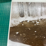 EVELYN H. LAUDER Snow Marshmallows, 1991 - Signed