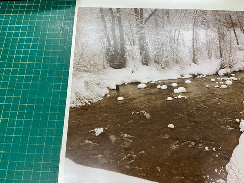 EVELYN H. LAUDER Snow Marshmallows, 1991 - Signed