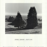 ANSEL ADAMS Pinetrees, Seashore, 1990