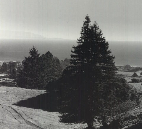 ANSEL ADAMS Pinetrees, Seashore, 1990