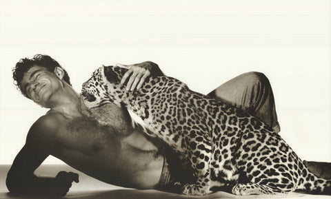 SPENCER ROWELL Animal Magnetism, 1988