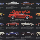 GAVIN MACLEOD Lamborghini, 1988