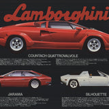 GAVIN MACLEOD Lamborghini, 1988
