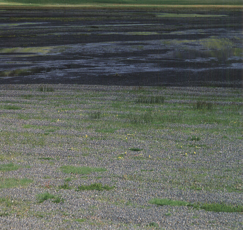 KLAUS SCHIDNIOGROTZKI Landscape Near Vik (Iceland), 2009