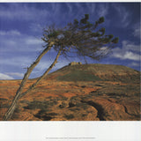 KLAUS SCHIDNIOGROTZKI View of "Castillo de Guanapay", Lanzarote, 2009